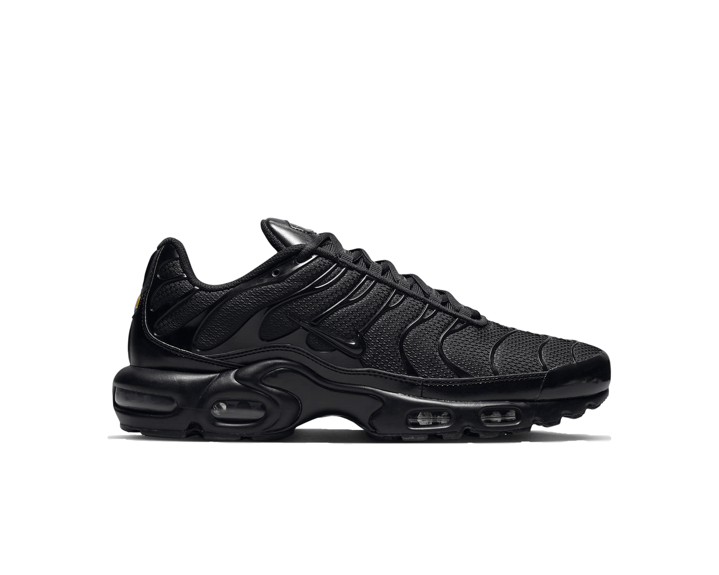 Nike Air Max Plus Triple Black